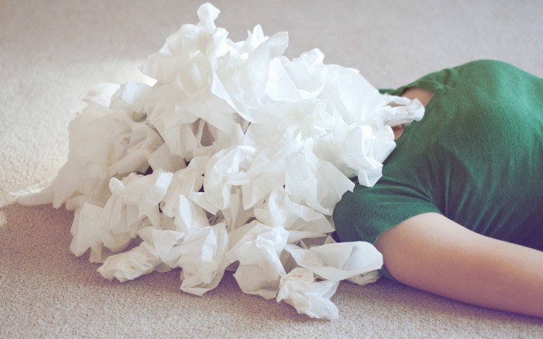 mold remediation services